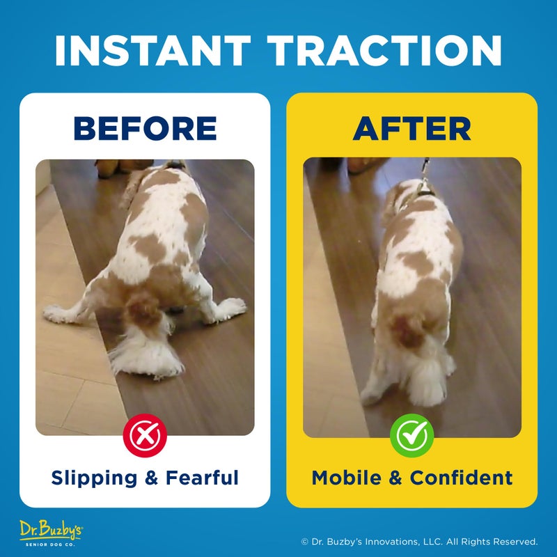 Dr. Buzby's Dr Buzby's XSmall ToeGrips for Dogs - Instant Traction on Wood/Hardwood Floors - Anti Slip Relief - Grippers for Senior Dogs - Stop Sliding Instantly - Rubber Nails for Paws - 1 Pack (20 Grips) - Image 3